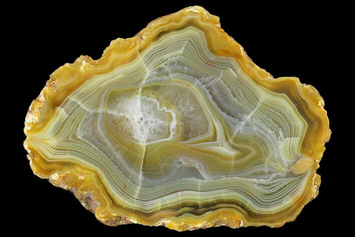 Polished Banded Island Agate Section - South Pacific #150537
